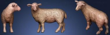 3D model Sheep115 (STL)